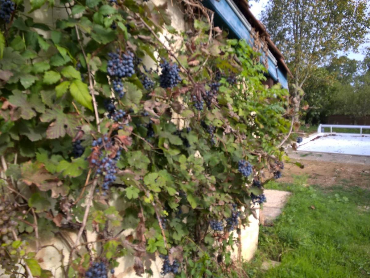 Nicely Renovated Wine-Grower House Fargues-Saint-Hilaire Exterior foto